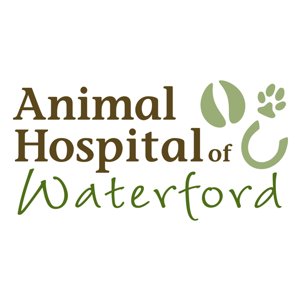 Animal Hospital Staff Placeholder