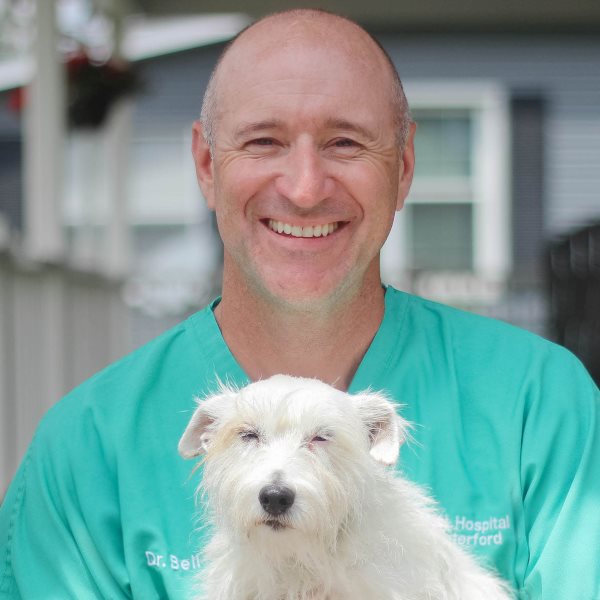 Veterinarians - Animal Hospital of 